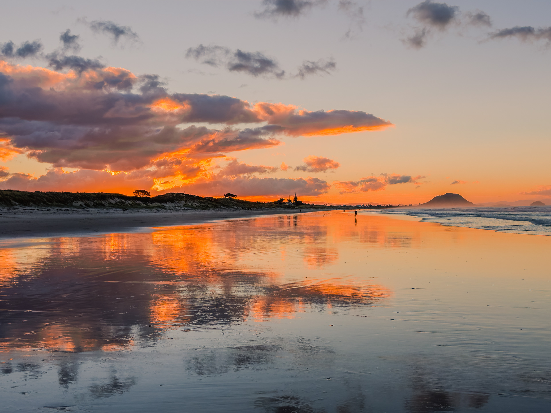 Atawhai Tauranga Moana