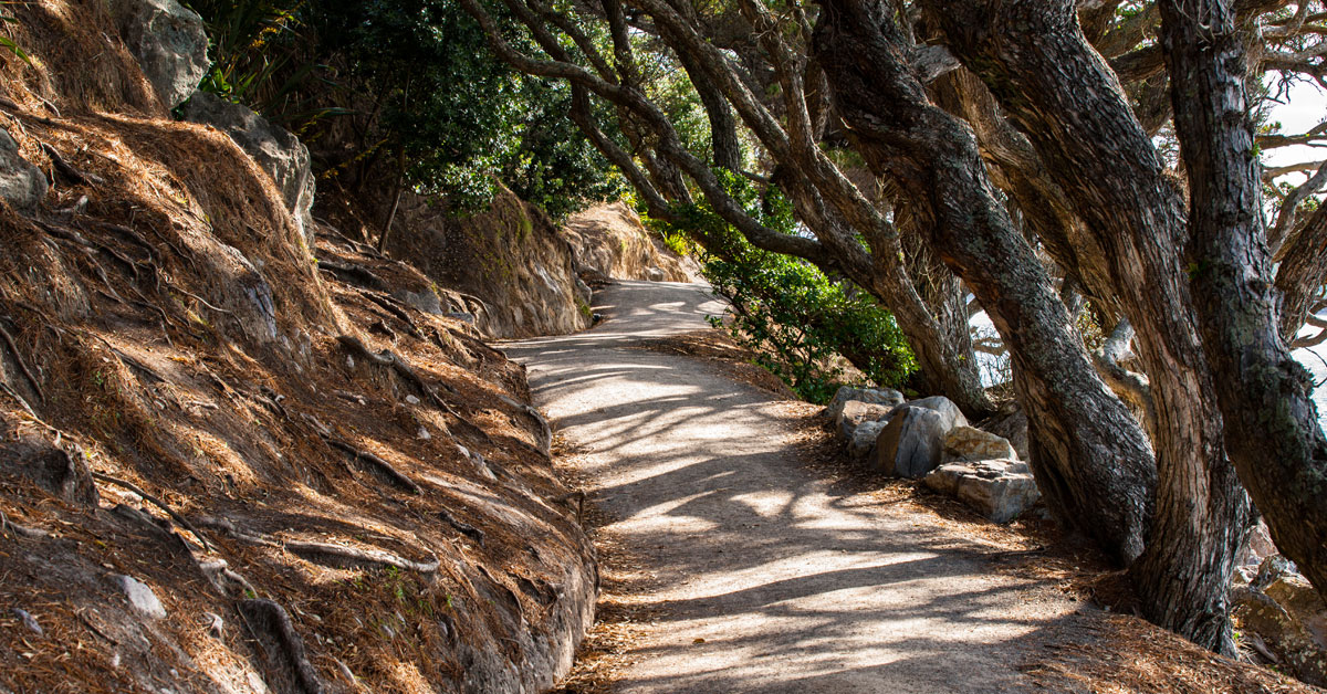 explore-mount-maunganui-mauao-base-track-walk